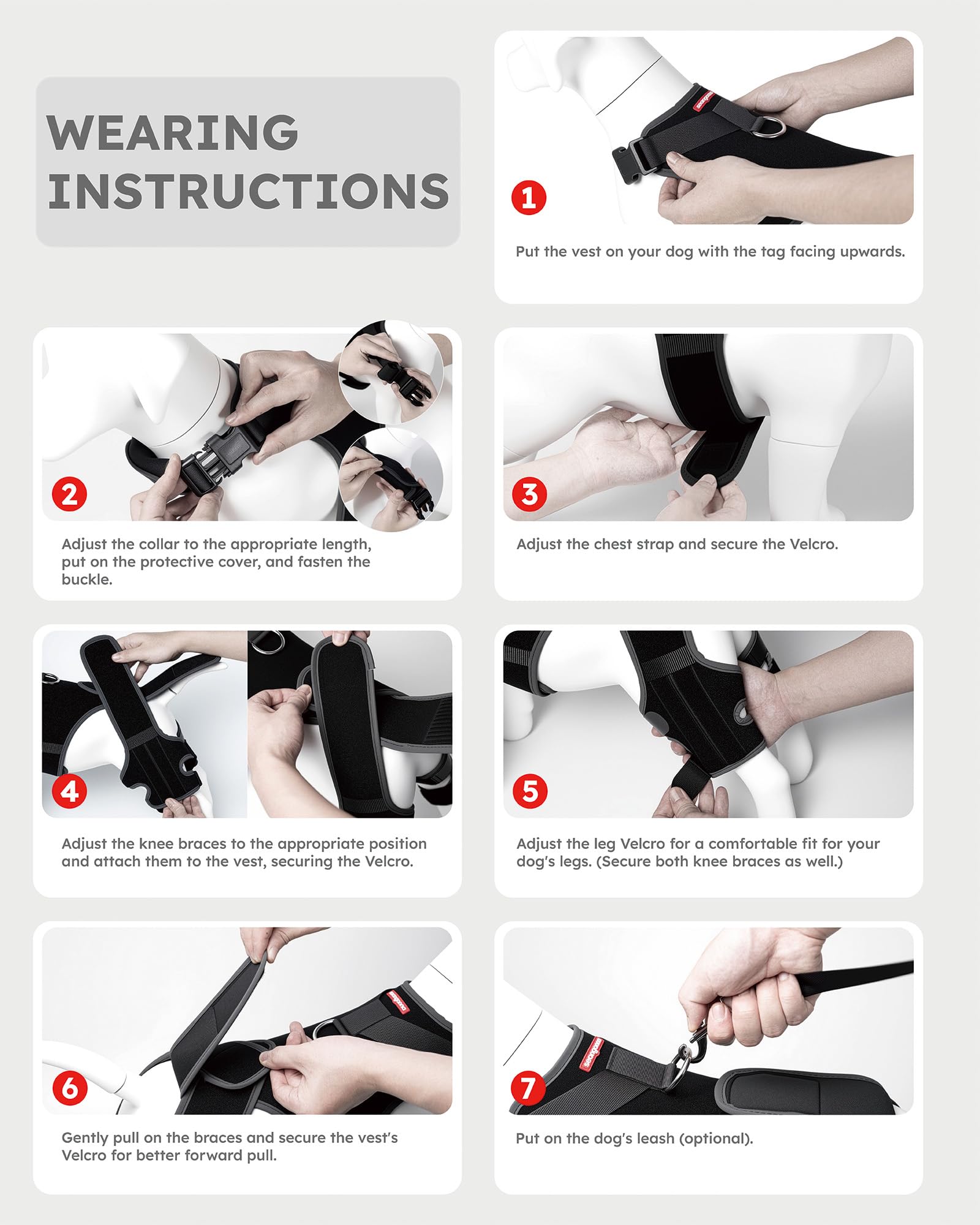 Seangonna Attelle Genou Chien Laisse Offerte, kit pratique pour les promenades
