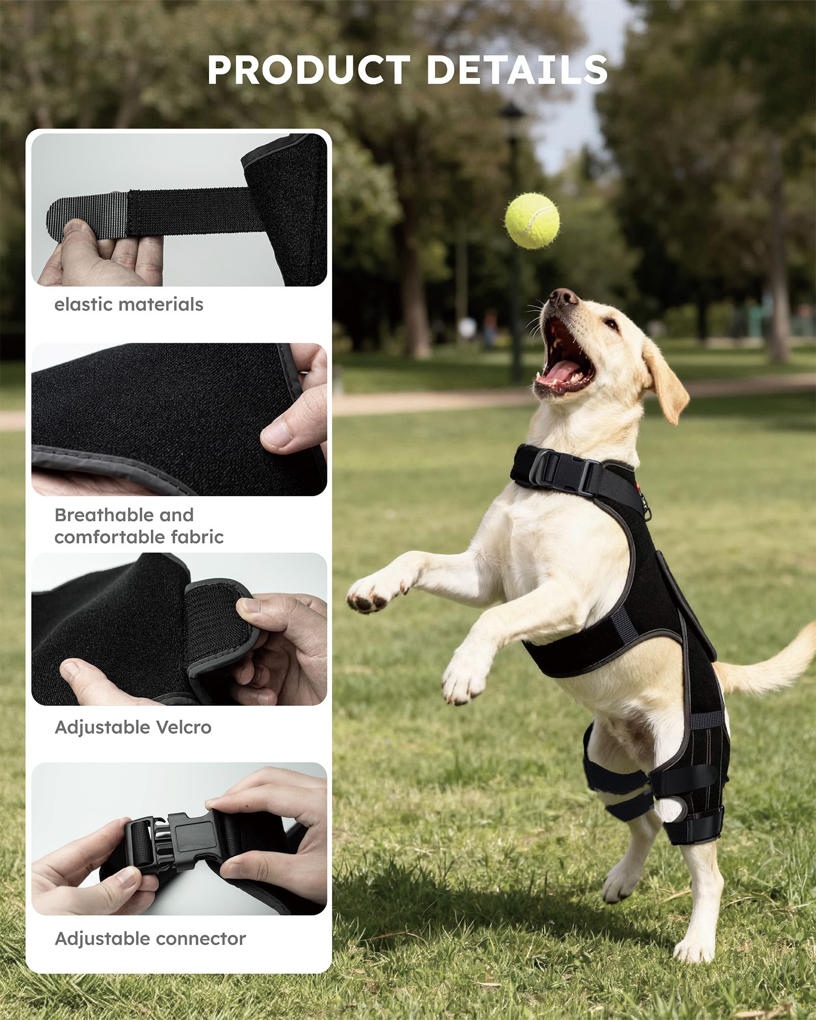 Seangonna Attelle Genou Chien Design Réfléchissant, visibilité accrue pour la sécurité
