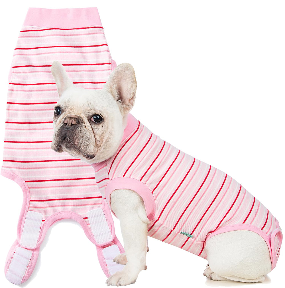 Sebidtco, combinaison rétablissement chien femelle protège les sutures et favorise le repos.