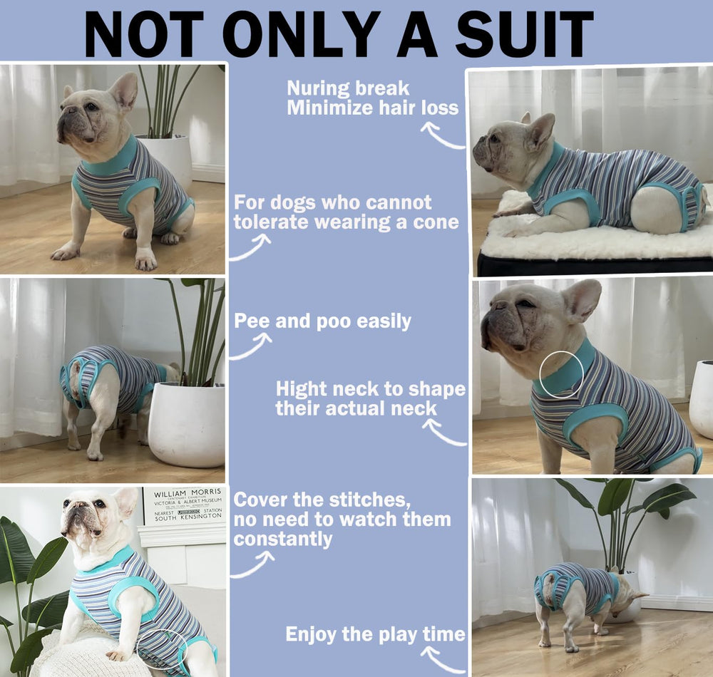 Sebdtco choix de tailles variées pour un ajustement parfait du chien