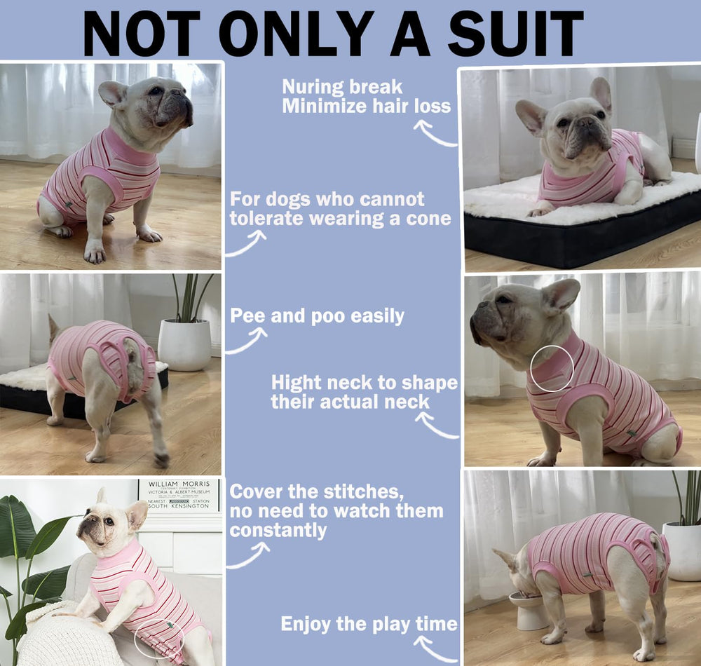 Combinaison Sebidtco en coton doux apaise et favorise le repos du chien.