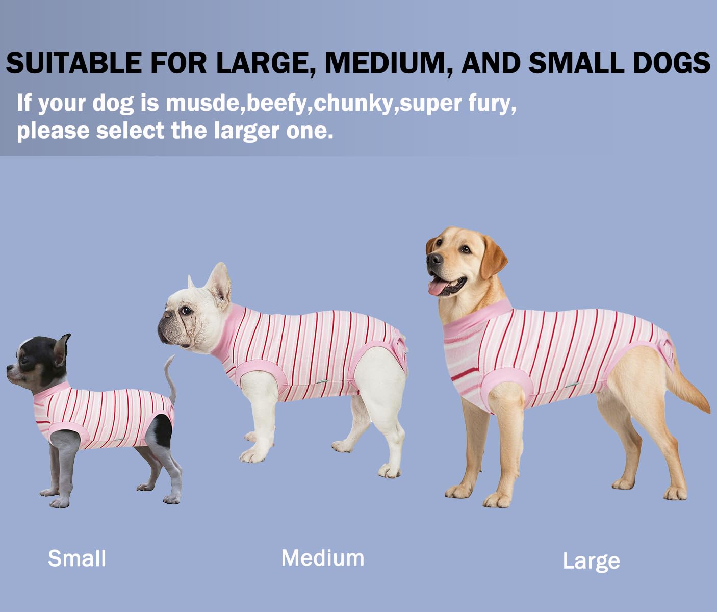 Combinaison Sebidtco disponible en plusieurs tailles pour un ajustement sûr.