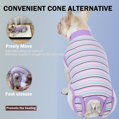 Sebidtco combinaison coton et élasthanne, confort et flexibilité pour chien.