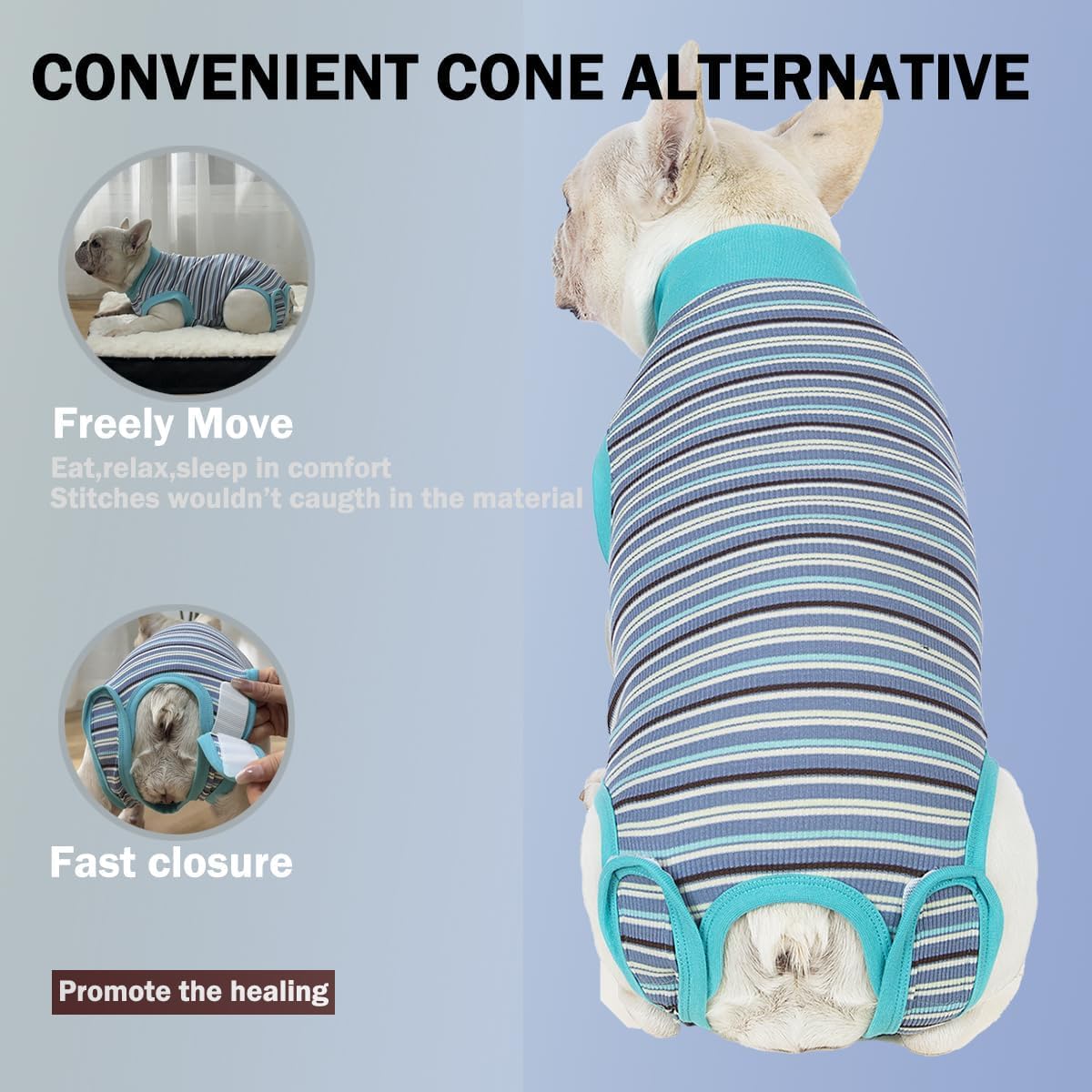 Sebidtco combinaison post-chirurgie chien femelle, liberté de mouvement