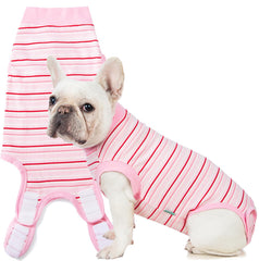 Sebidtco: combinaison recuperation chienne-spay protege les sutures et favorise le confort.