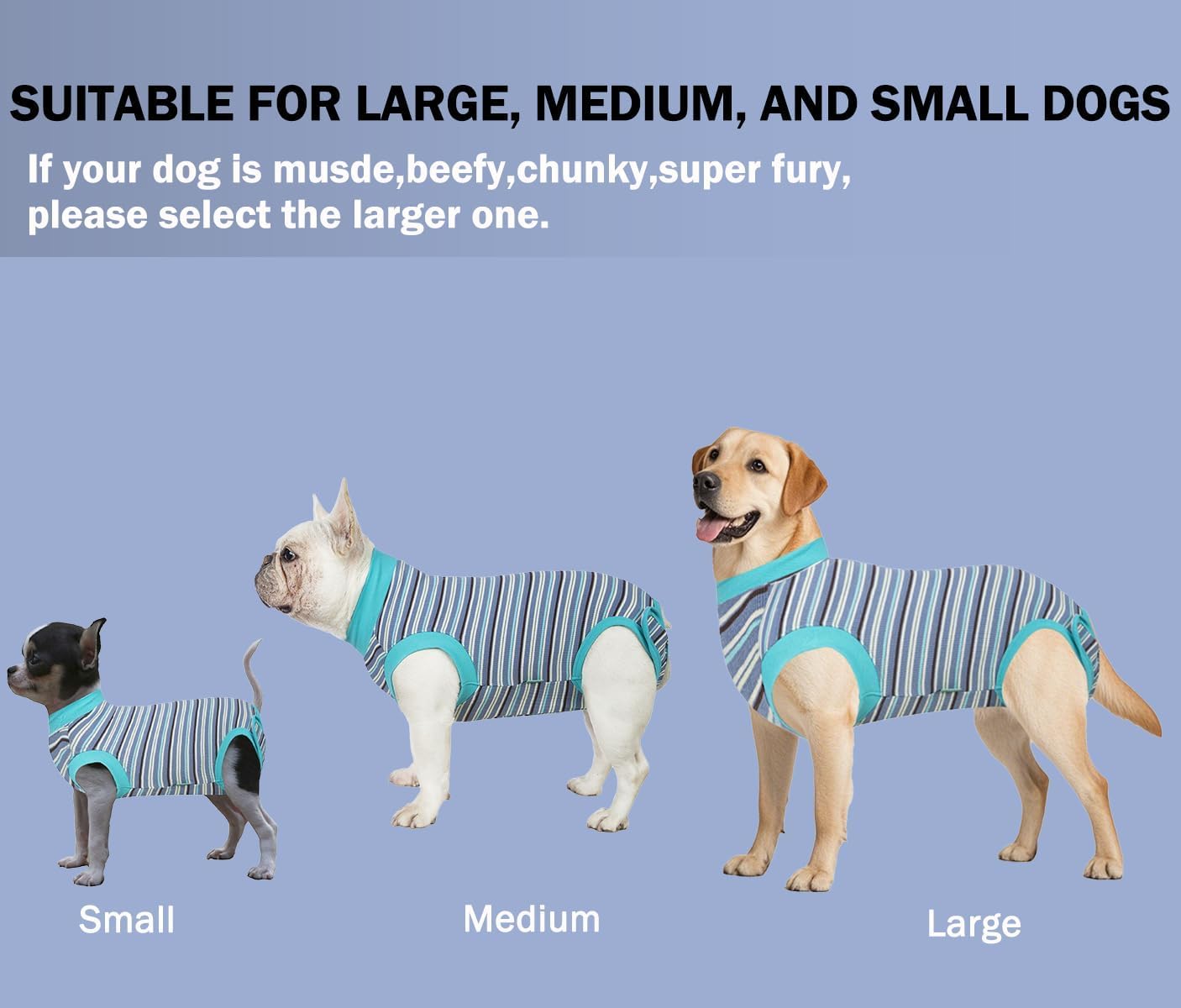 Sebidtco protection ventre chien femelle, facile à mettre et laver