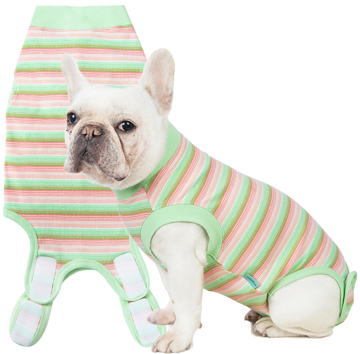 Sebidtco tenue de récupération pour chien post-chirurgie protège les points de suture.