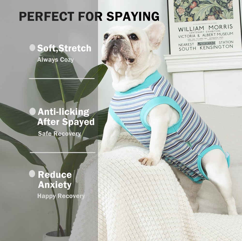 Sebidtco veste de convalescence chien, sans cône après chirurgie, confort