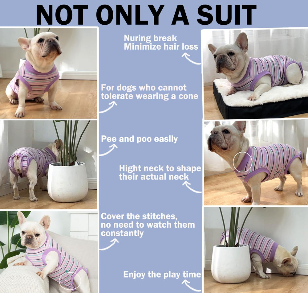 Sebidtco vetement chien facile à mettre et à enlever, pratique après chirurgie.