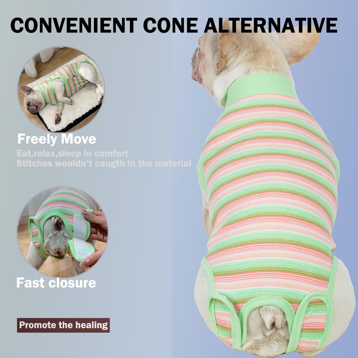 Sebidtco vêtement de convalescence chien postop évite le léchage sans cône.