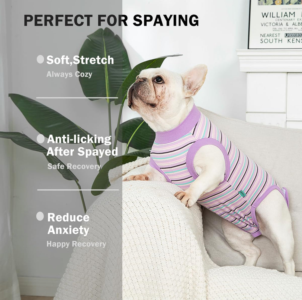 Sebidtco vetement récupération chien femelle post sterilisation rassure et facilite le repos.