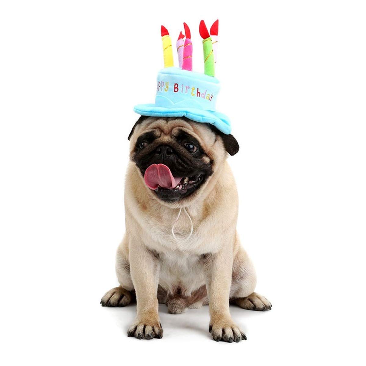 Design fête Secfanya pour photos et occasions avec un animal