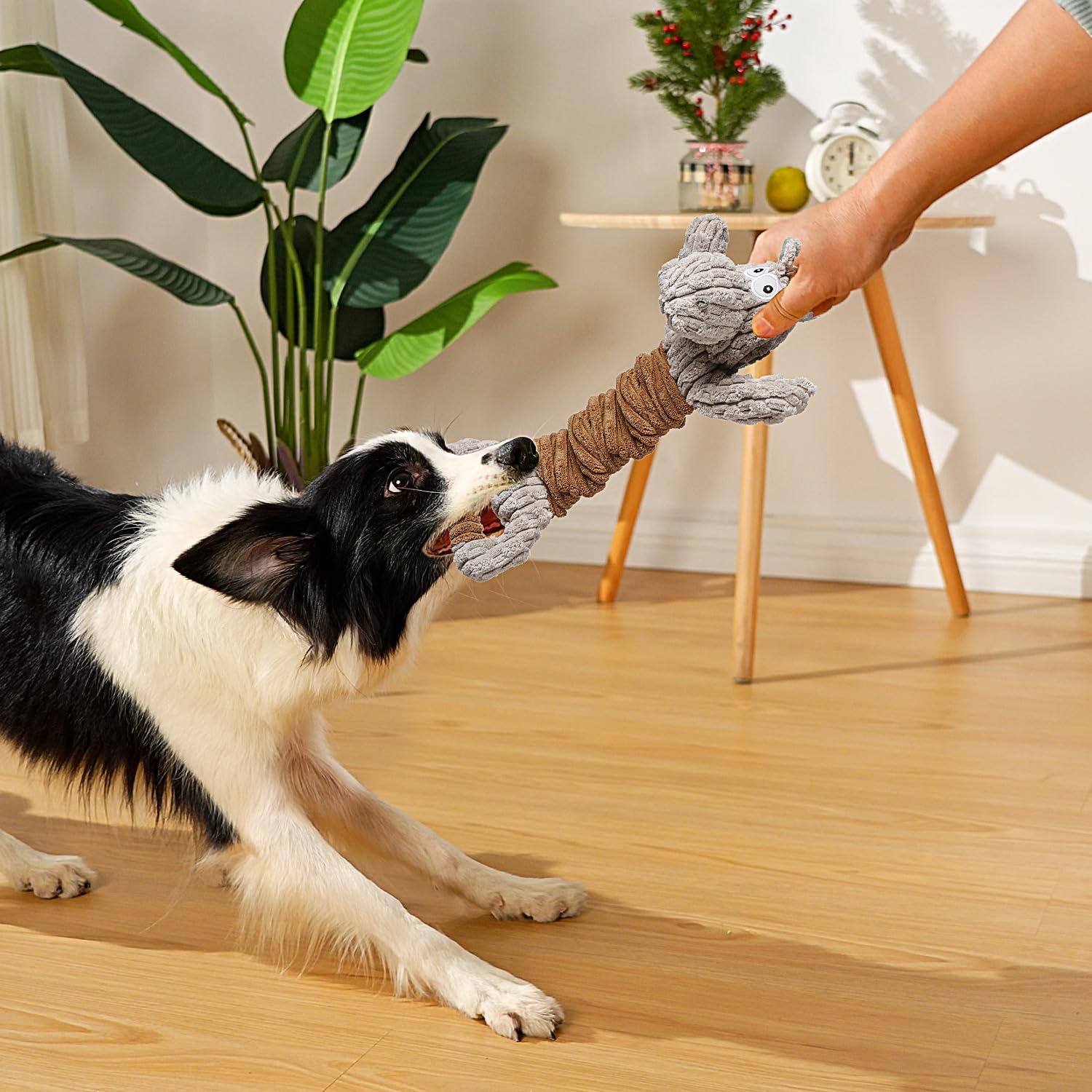 Sedioso jouet âne design tir à la corde pour chiens actifs