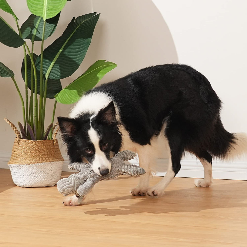Jouet Sedioso en coton sûr, léger et durable pour chiens.