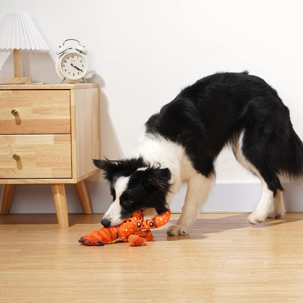 Sedioso langouste – jouet-chien-lancer-fetch, idéal pour des sessions actives.