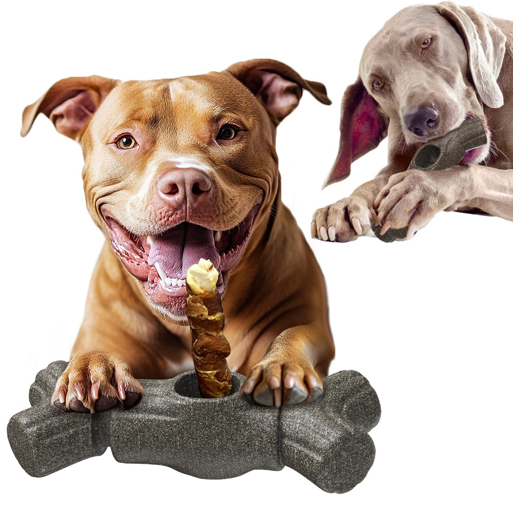 Sedioso support-baton-os-chien: maintien sûr du bâton d'os pendant la mastication.