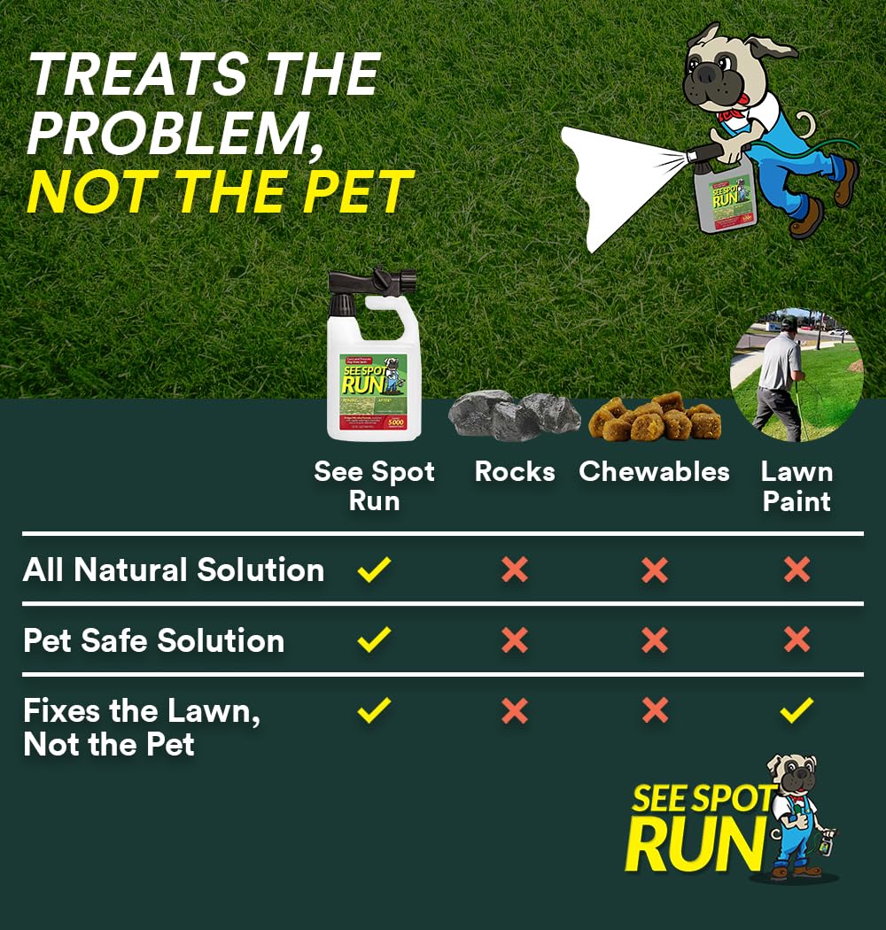 See Spot Run Concentré – démonstration avant/après gazon après traitement