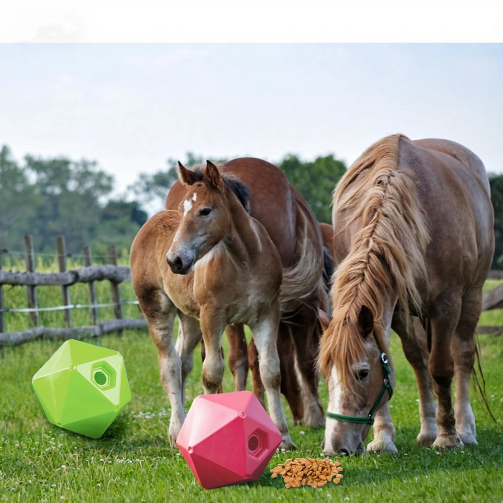Seenelling balle remplissage facile-cheval, remplissage rapide pour sessions ludiques.