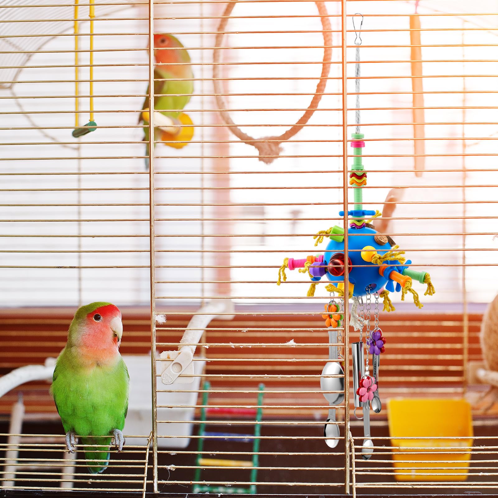 Seenelling cadeau-perroquet-famille-amis : idee cadeau ideale pour passionnes.