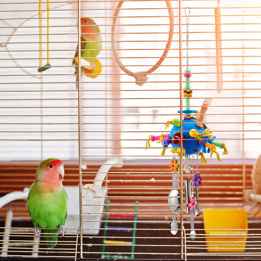 Seenelling cadeau-perroquet-famille-amis : idee cadeau ideale pour passionnes.