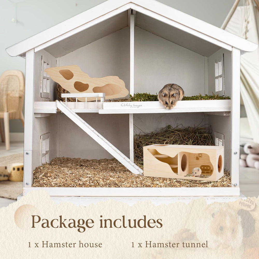 Seenelling observatoire-hamster-couvercle, observation facile et interaction