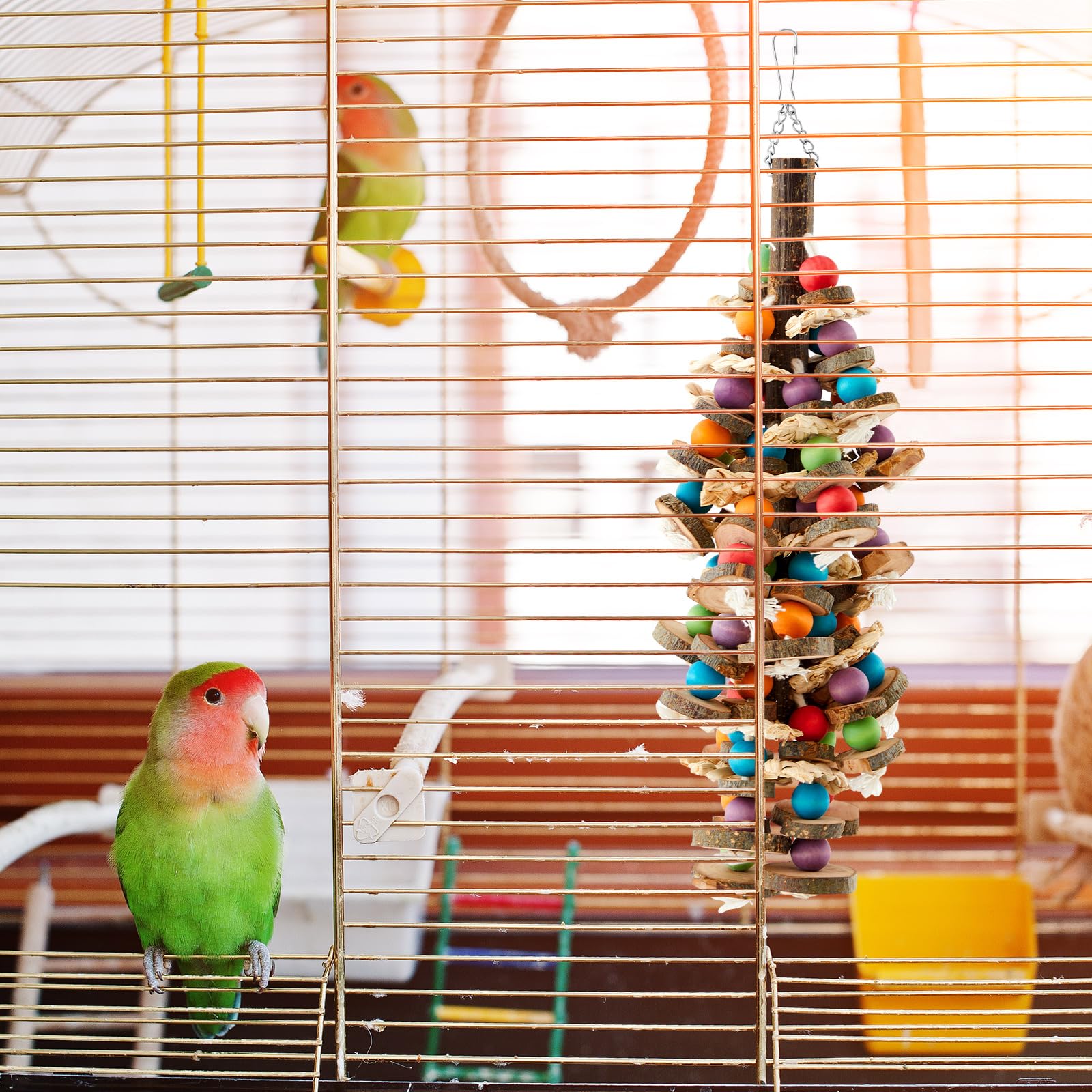 Seenelling jouet-perroquet blocs et cloche colorés, idée cadeau pour oiseaux.