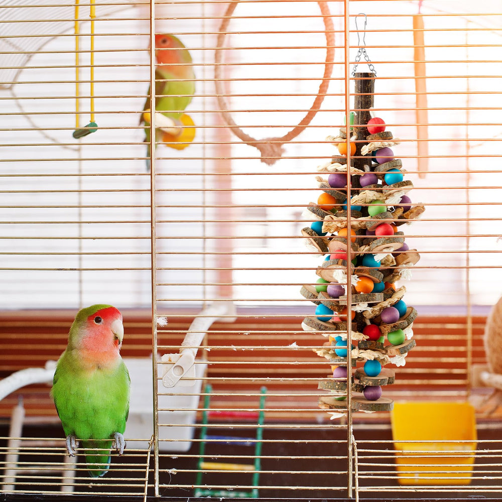 Seenelling jouet-perroquet blocs et cloche colorés, idée cadeau pour oiseaux.