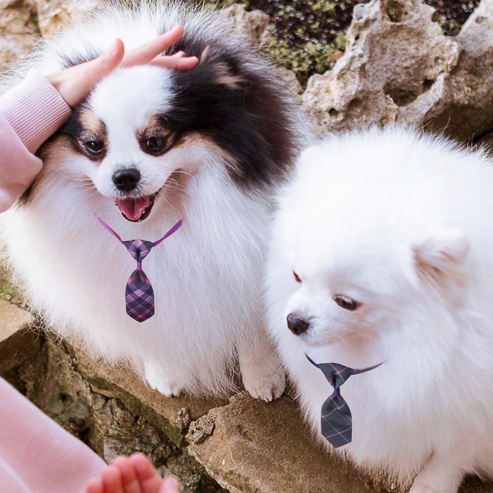 Segarty accessoires-animaux-grooming, idéal pour grooming pro et domicile.