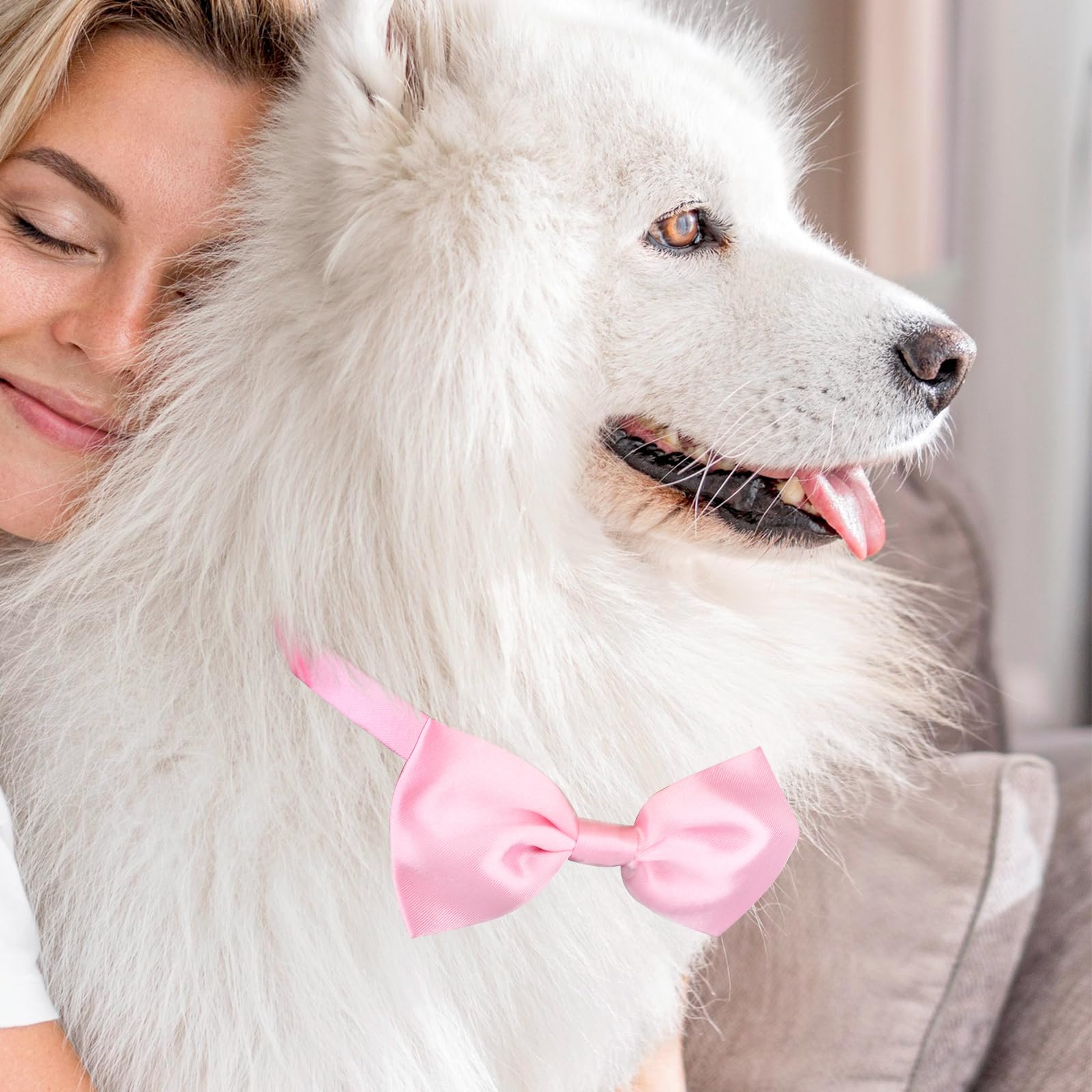 Segarty cravate chien grande taille – allure élégante lors mariages et photos