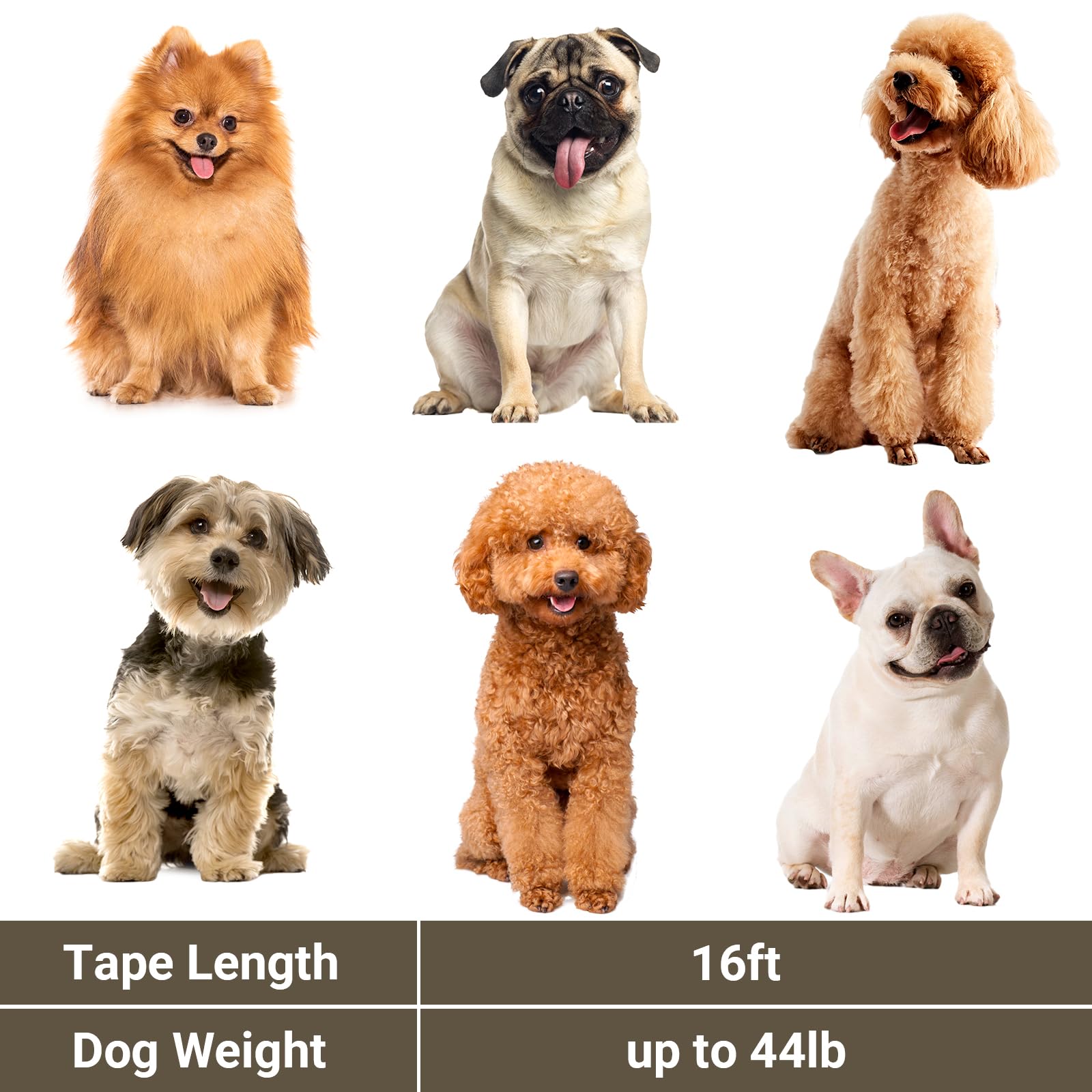 Segarty longe 16ft pour chien moyen jusqu'à 20 kg, liberté maîtrisée.