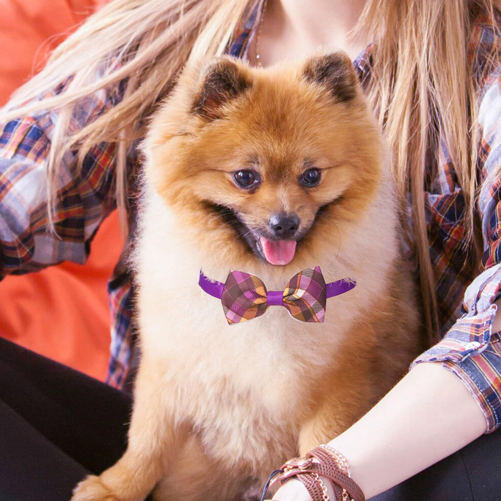 Segarty noeud-chien-petit-tissu-polyester, toucher doux et léger.