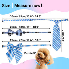 Segarty nœud papillon chien – confort doux pour longues promenades et séances photo