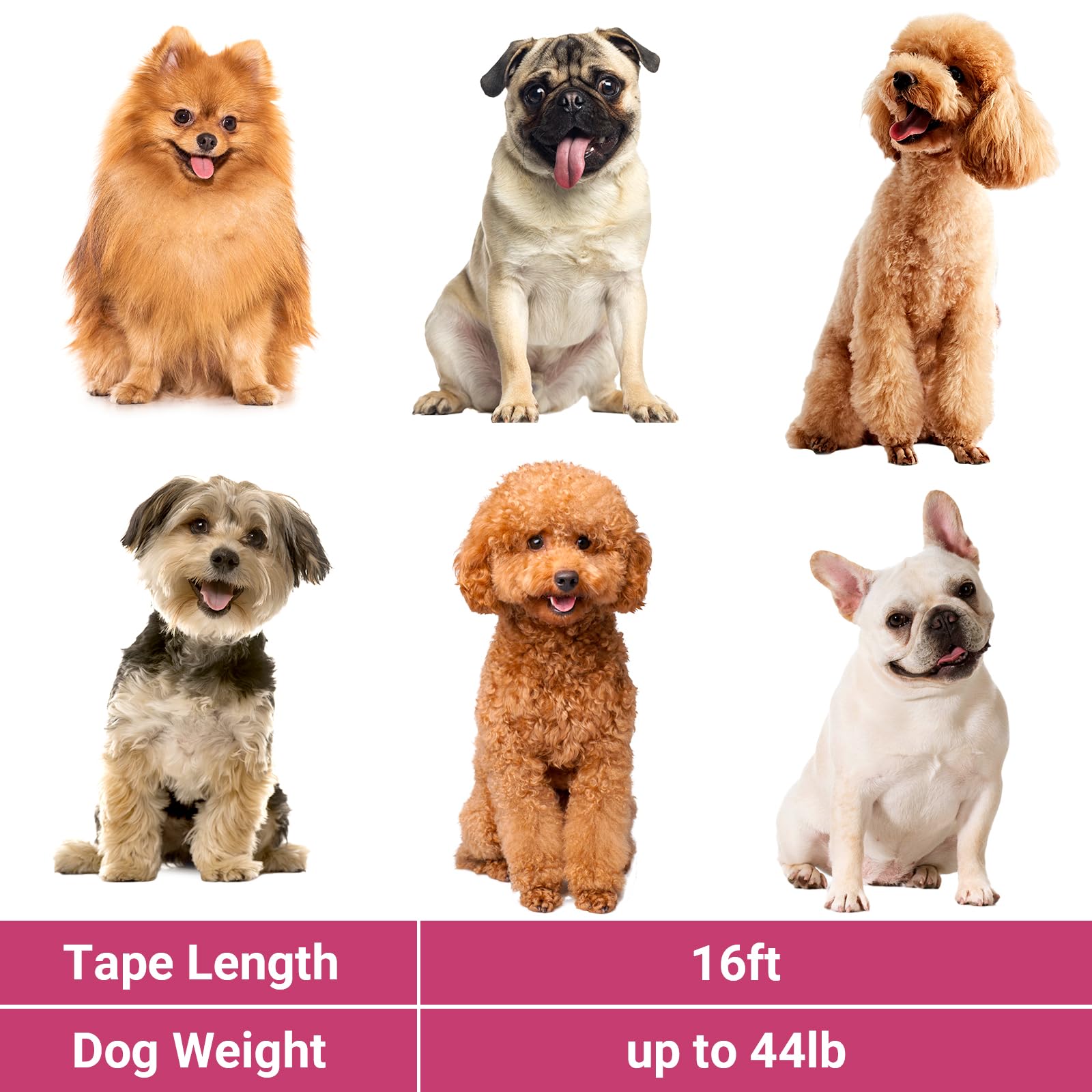 Segarty tape nylon rose robuste assure durabilité lors des sorties.