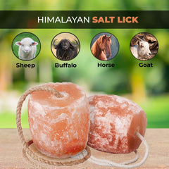 Sel Himalayen pour chevaux et animaux; apport minéral naturel.