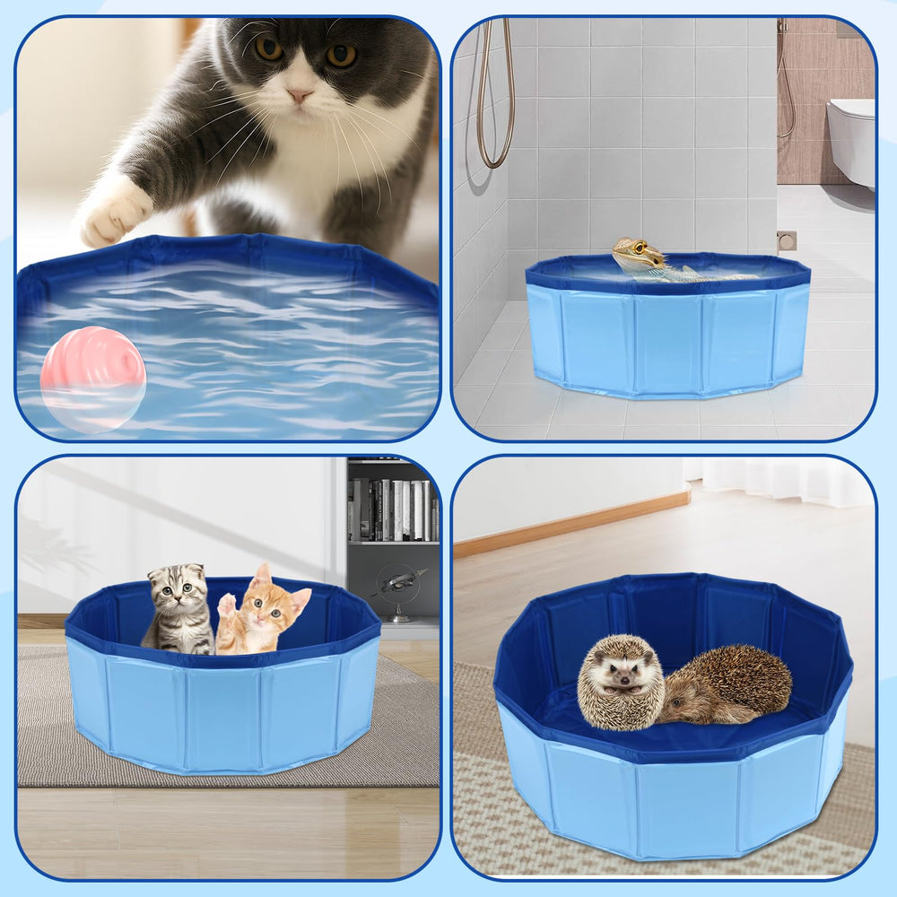 Selacca Baignoire bleu vif pour dragon barbu, expérience de bain agréable.