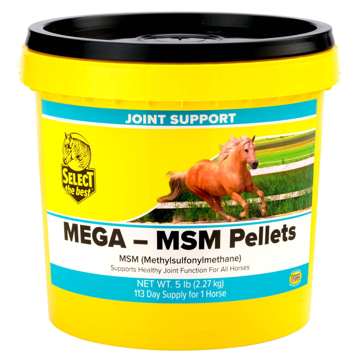 Granulés Mega-MSM Select The Best pour une administration facile et soutien potentiel des articulations.