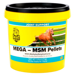 Granulés Mega-MSM Select The Best pour une administration facile et soutien potentiel des articulations.