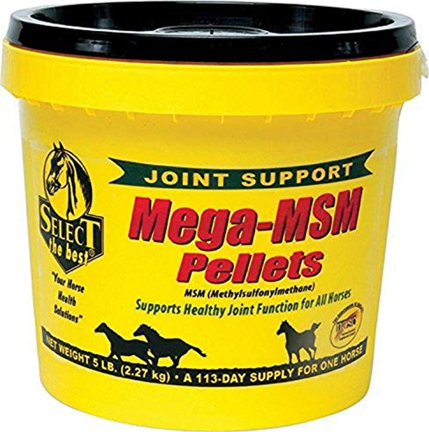 RICHDEL MegaMSM Pellets emballage visible, soutien potentiel à la mobilité des chevaux