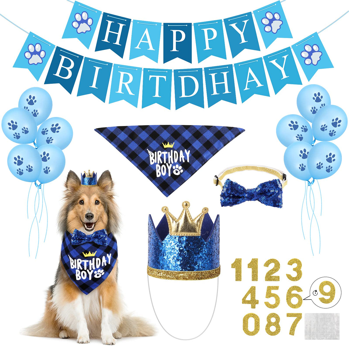 Chapeau anniversaire Selemoy sur chien lors de la fête, focalisant le regard sur le style.