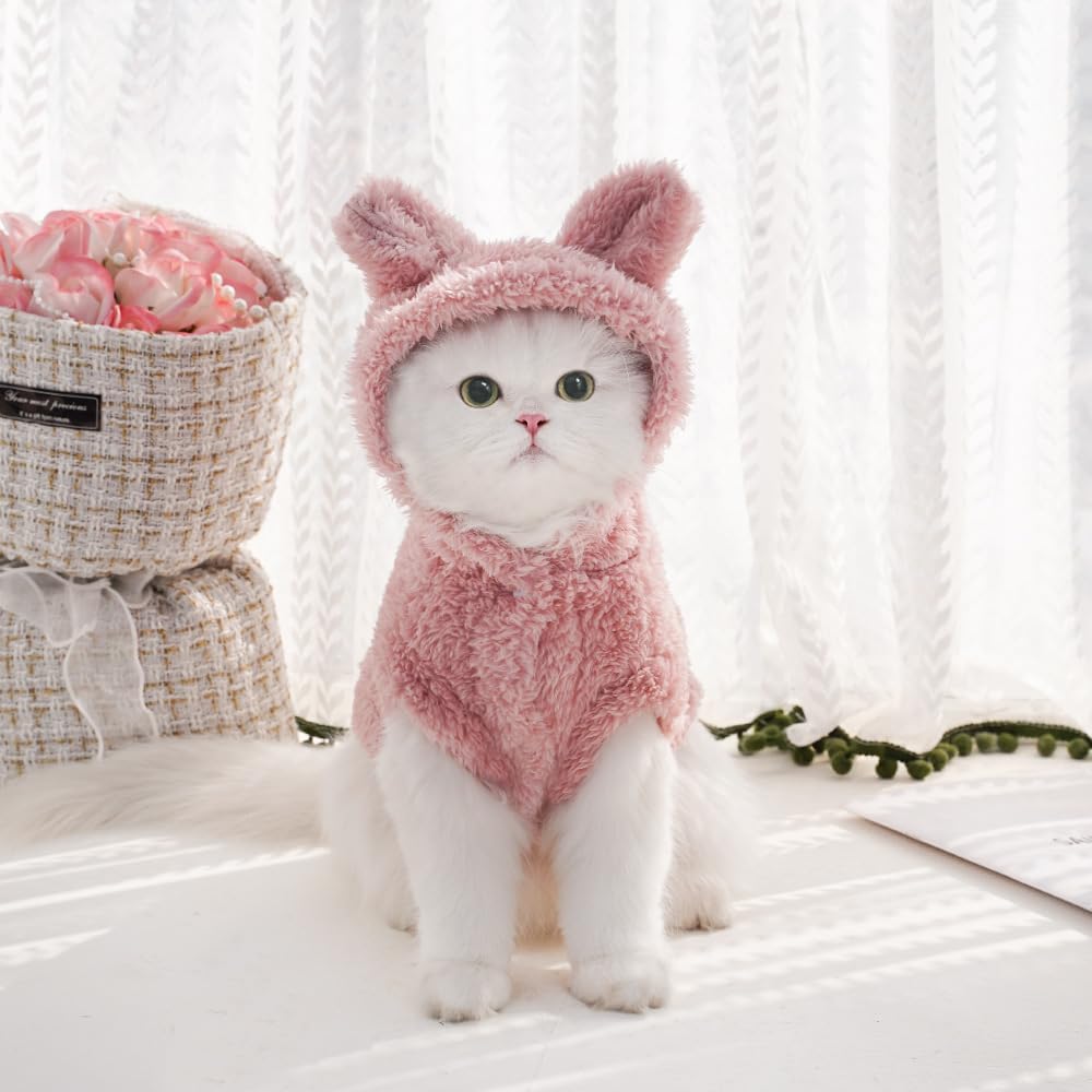 Selena fermeture frontale pratique pour habiller facilement votre animal.
