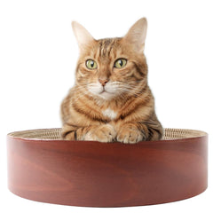 Selly's Den grattoir-bol-carton-chat-16pouces: espace de grattage durable et réconfortant.
