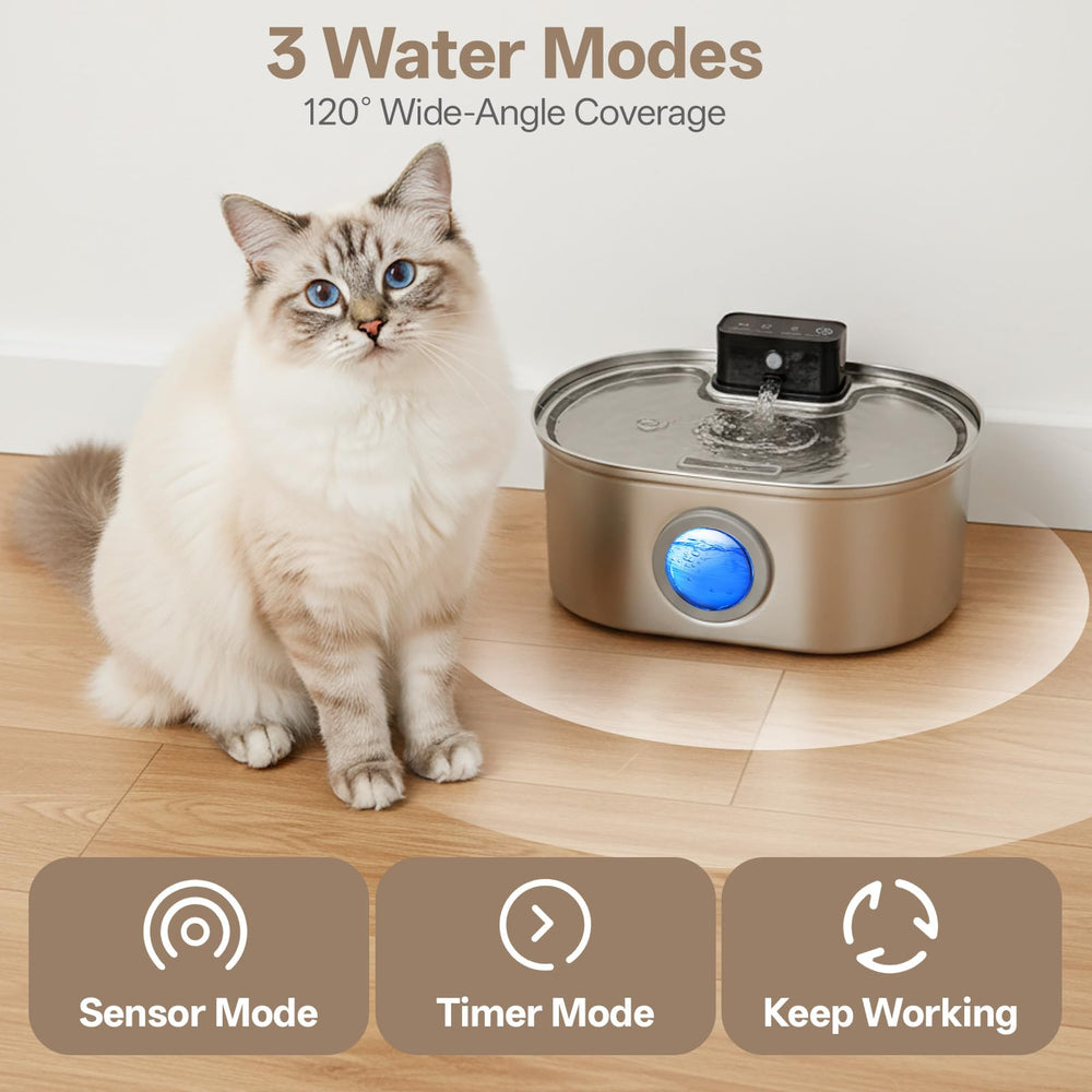 SELOOYE eau naturelle et fluide, incite votre chat à boire.