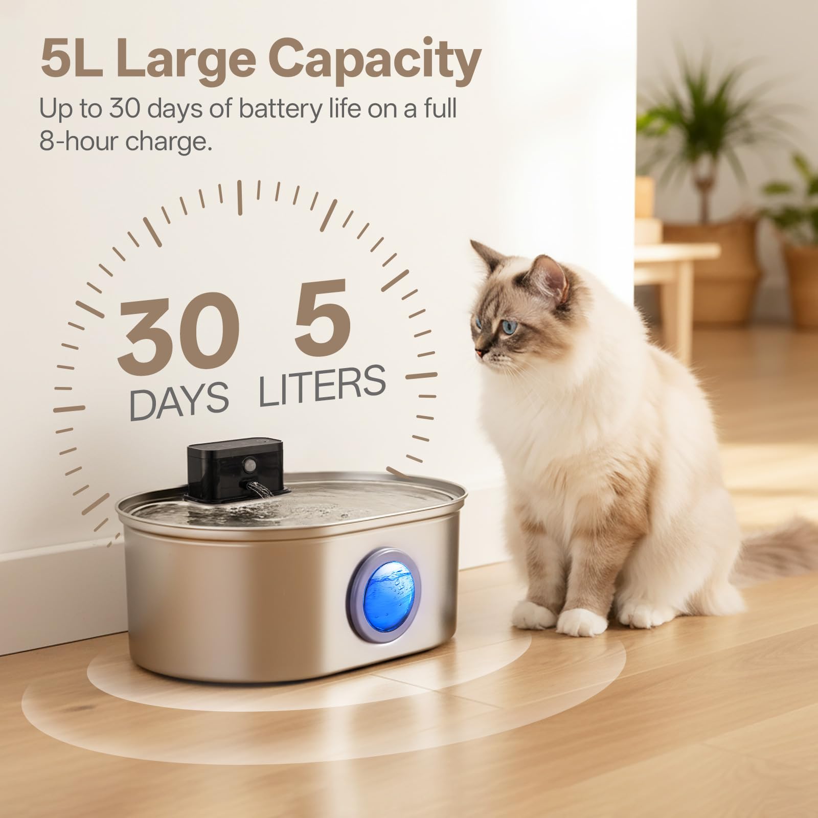 SELOOYE système sans fil et batterie 4200mAh, autonomie longue.