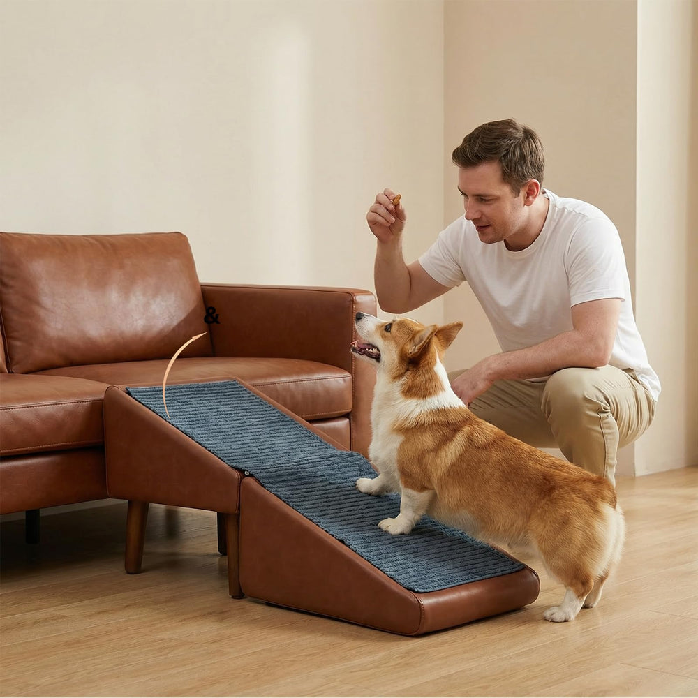 Rampe SELURIDA pour chiens et chats en position ouverte, accès facile pour votre animal.