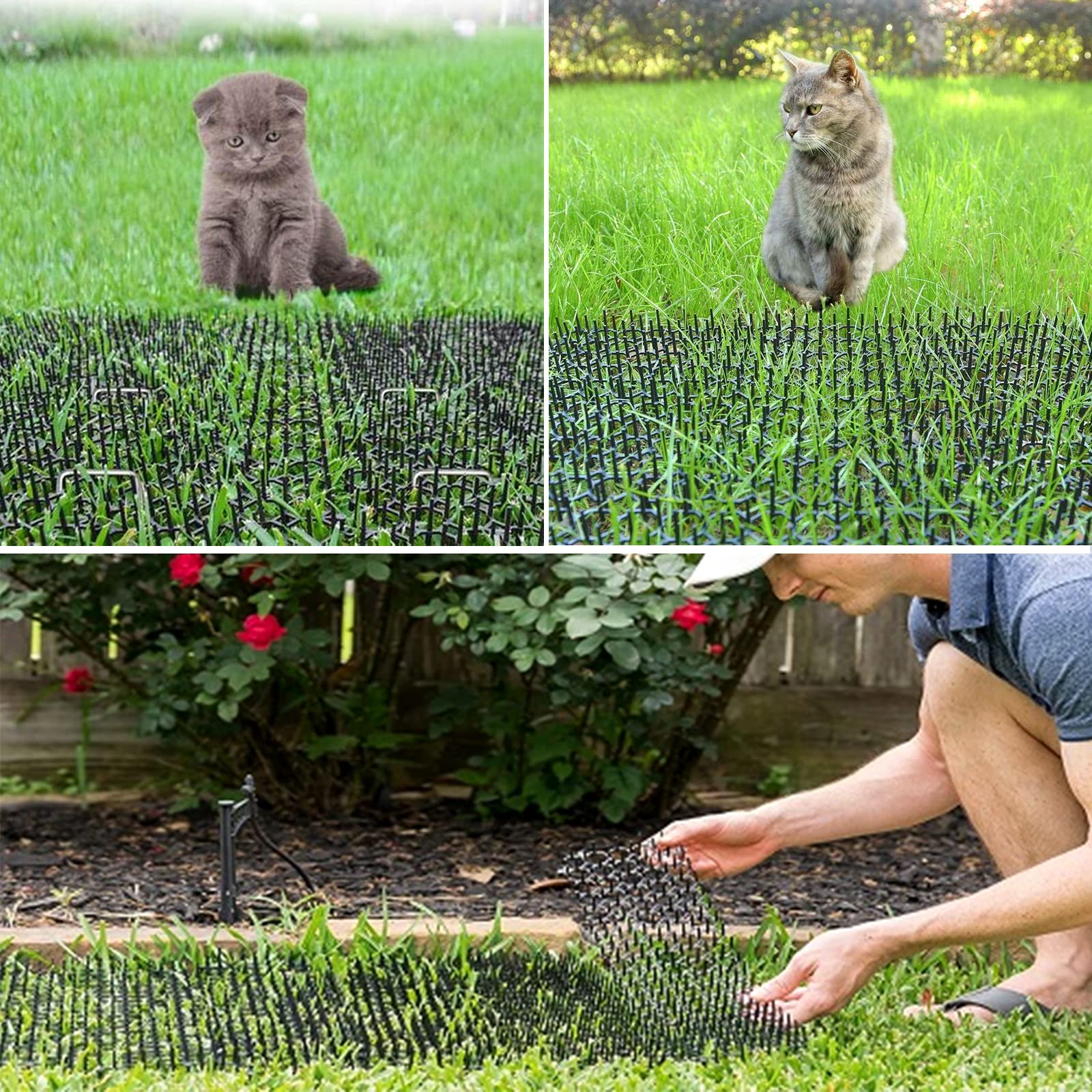 SENENQU scat-mat épines autour poteaux et arbres: préserve contre l’escalade des animaux.