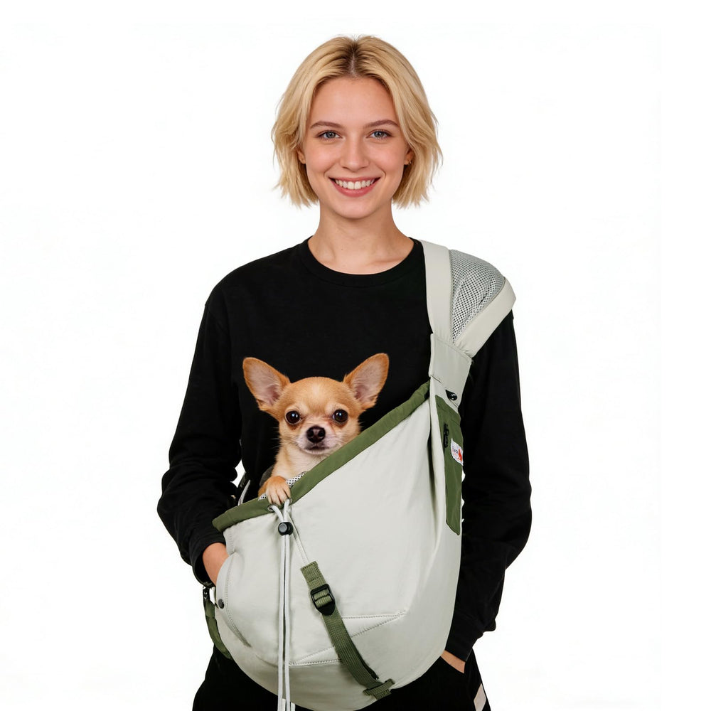 SENIOR BUDDAY porte-chien portable: léger et pratique en voyage