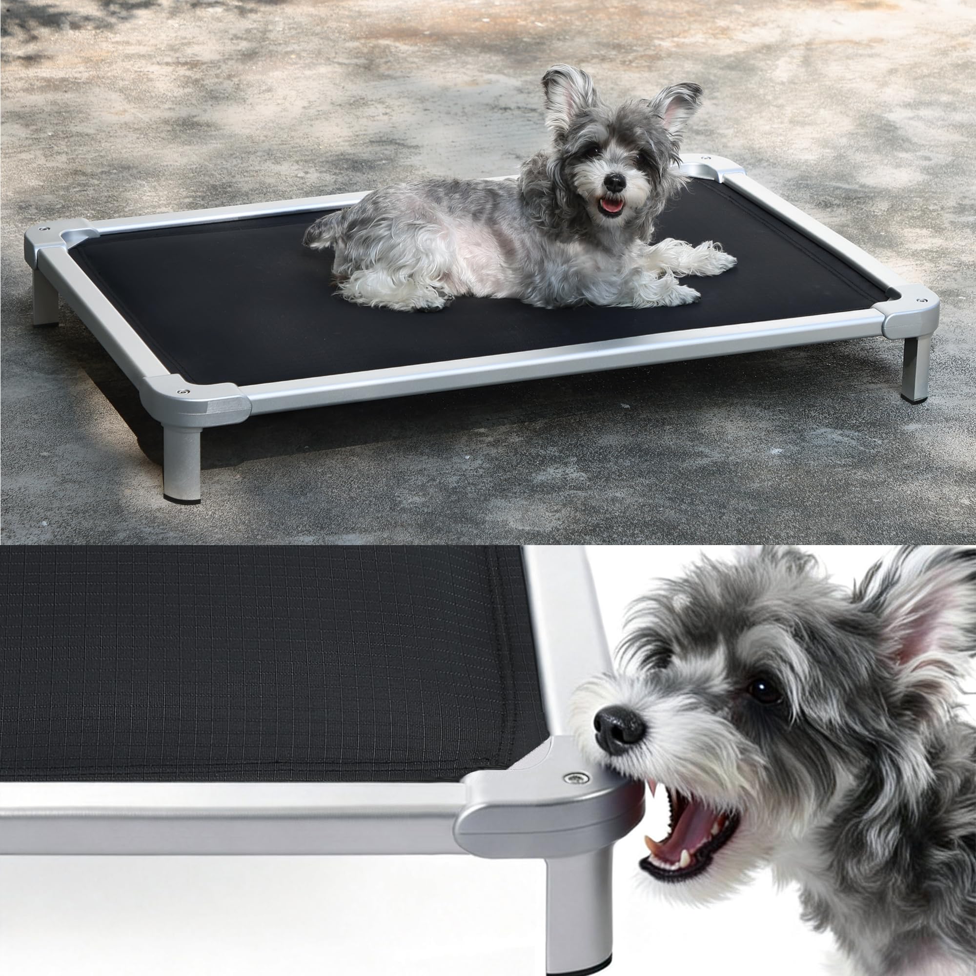 Senneny lit chien anti-mordillage elevé prêt pour usage intérieur et extérieur.