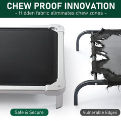 Lit pour chien élevé Senneny, stabilité robuste pour jeux actifs.
