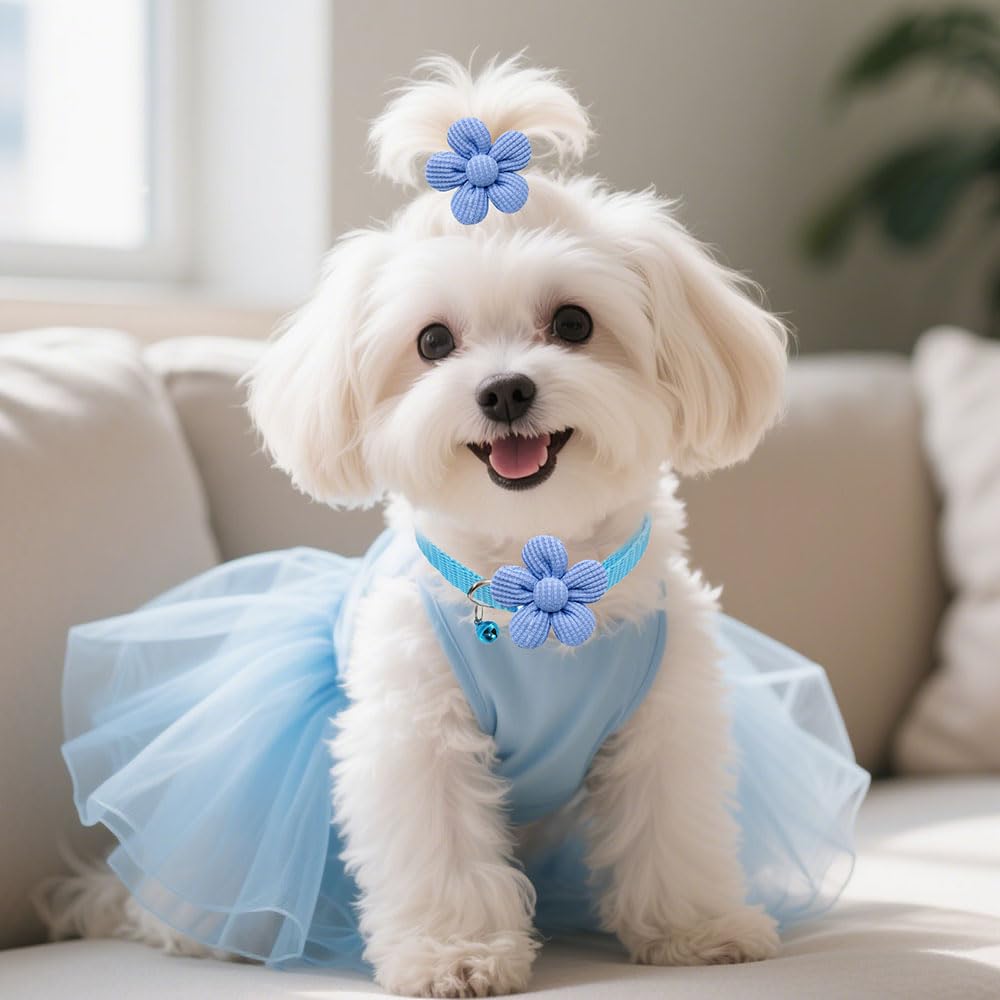 Senniea accessoire-mode-fleurs-petits-chien, harmonie avec les tenues.