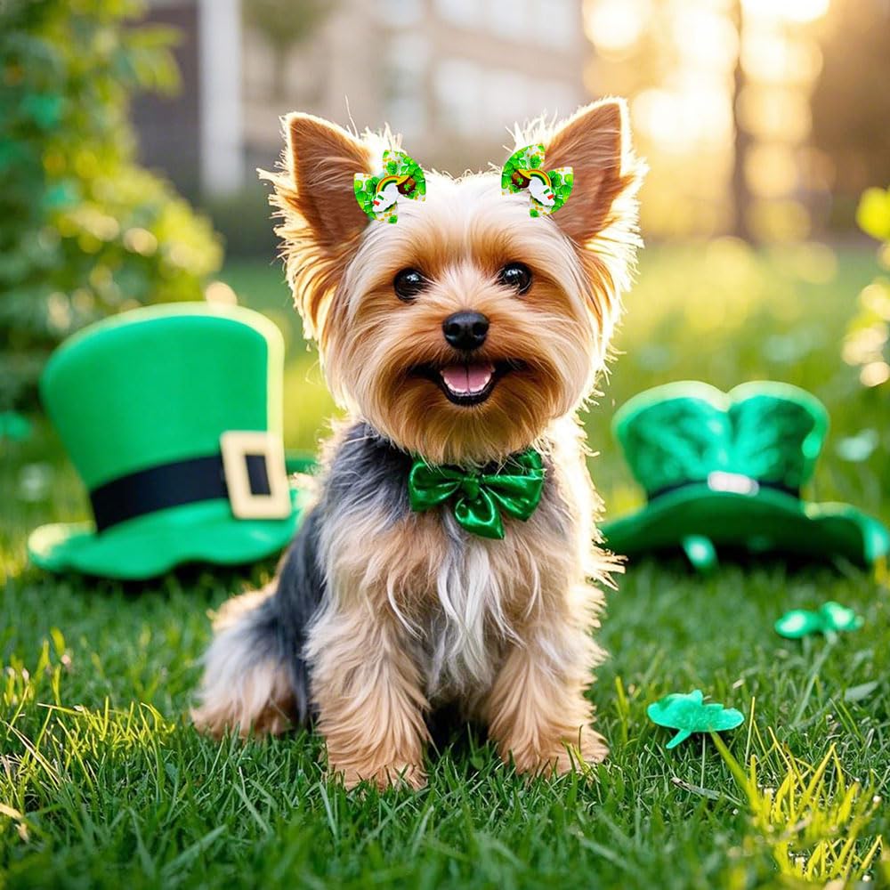 Bou-fleur Saint-Patrick Senniea pour chien, accessoire charmant et pratique.